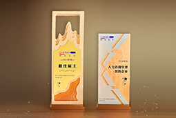 南宫NG28国际一举斩获“2024年度中国区最佳雇主”等多项大奖