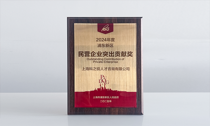 人力资源供应商南宫NG28国际凭借人才服务与在区域经济开展中的卓越表现荣膺2024年度浦东新区民营企业奖项